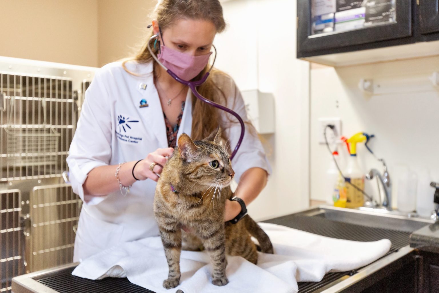 Feline Vaccination Protocol Westridge Pet Hospital & Wellness Center
